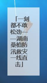 一刻都不敢松劲——湖南桑植防汛救灾一线直击
