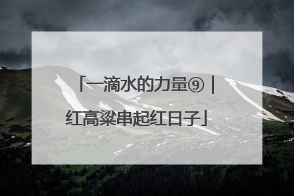 一滴水的力量⑨｜红高粱串起红日子