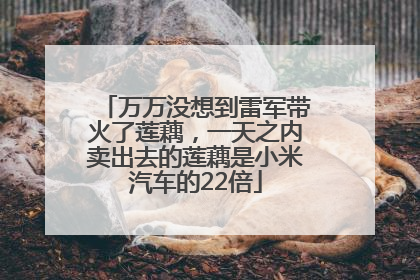 万万没想到雷军带火了莲藕，一天之内卖出去的莲藕是小米汽车的22倍