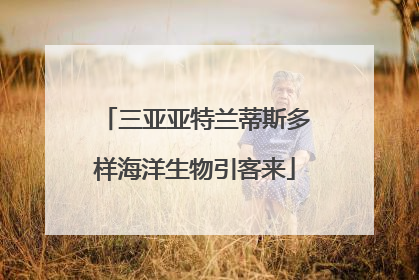 三亚亚特兰蒂斯多样海洋生物引客来