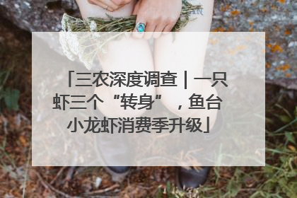 三农深度调查｜一只虾三个“转身”，鱼台小龙虾消费季升级
