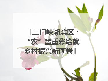 三门峡湖滨区：“农”墨重彩绘就乡村振兴新画卷