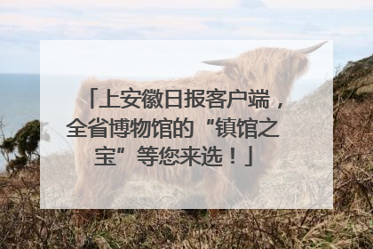 上安徽日报客户端，全省博物馆的“镇馆之宝”等您来选！