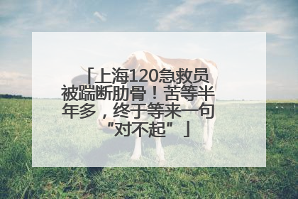 上海120急救员被踹断肋骨！苦等半年多，终于等来一句“对不起”