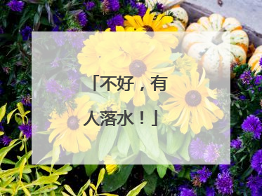 不好，有人落水！