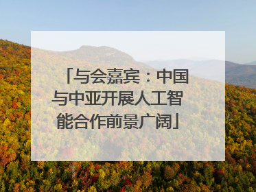 与会嘉宾：中国与中亚开展人工智能合作前景广阔