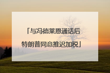 与冯德莱恩通话后 特朗普同意推迟加税