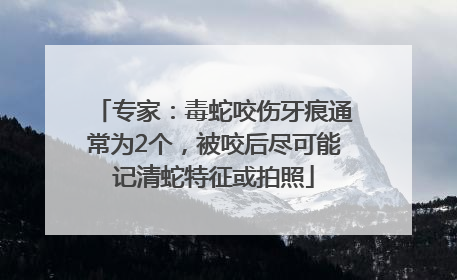 专家：毒蛇咬伤牙痕通常为2个，被咬后尽可能记清蛇特征或拍照