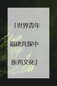 世界青年福建共探中医药文化