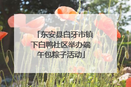 东安县白牙市镇下白鸭社区举办端午包粽子活动