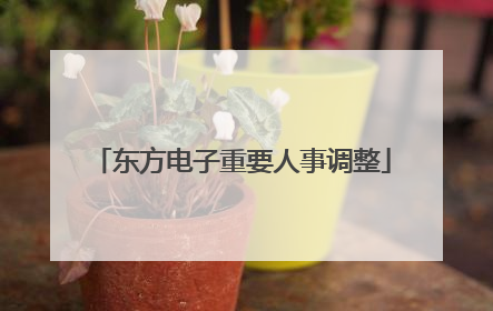 东方电子重要人事调整