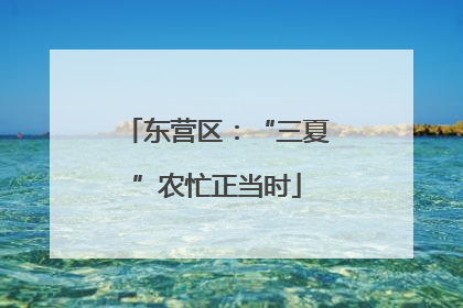 东营区：“三夏”农忙正当时