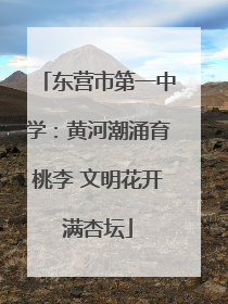 东营市第一中学：黄河潮涌育桃李 文明花开满杏坛