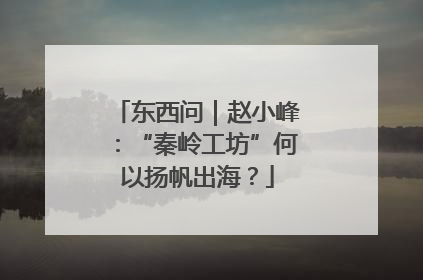 东西问｜赵小峰：“秦岭工坊”何以扬帆出海？