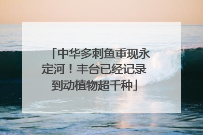 中华多刺鱼重现永定河！丰台已经记录到动植物超千种