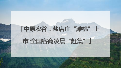 中原农谷：盐店庄“滩桃”上市 全国客商凌晨“赶集”