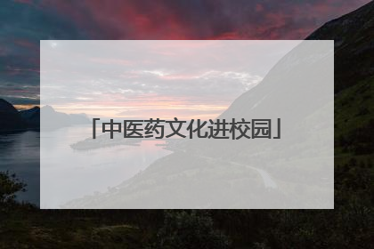 中医药文化进校园