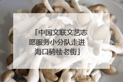 中国文联文艺志愿服务小分队走进海口骑楼老街