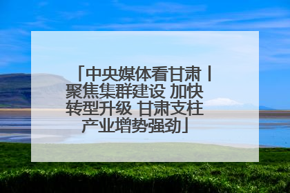中央媒体看甘肃丨聚焦集群建设 加快转型升级 甘肃支柱产业增势强劲