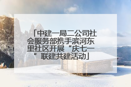 中建一局二公司社会服务部携手滨河东里社区开展“庆七一”联建共建活动
