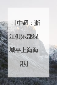 中超：浙江俱乐部绿城平上海海港