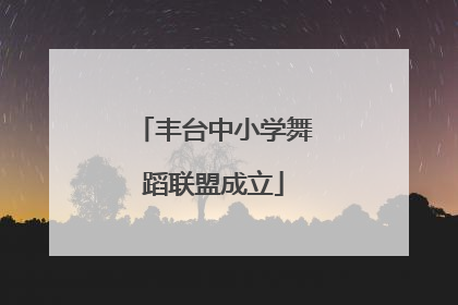丰台中小学舞蹈联盟成立