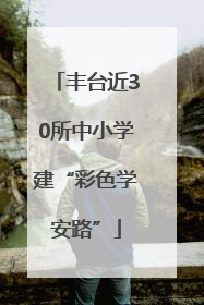 丰台近30所中小学建“彩色学安路”