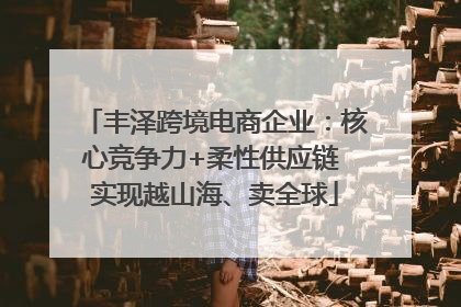 丰泽跨境电商企业：核心竞争力+柔性供应链 实现越山海、卖全球