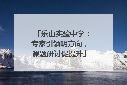 乐山实验中学：专家引领明方向，课题研讨促提升