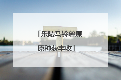 乐陵马铃薯原原种获丰收