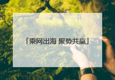 乘网出海 聚势共赢