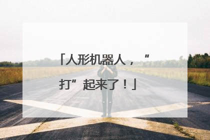 人形机器人，“打”起来了！