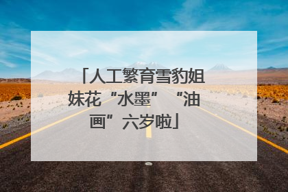 人工繁育雪豹姐妹花“水墨”“油画”六岁啦
