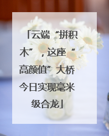 云端“拼积木”，这座“高颜值”大桥今日实现毫米级合龙