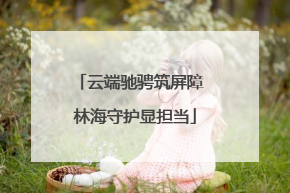 云端驰骋筑屏障 林海守护显担当