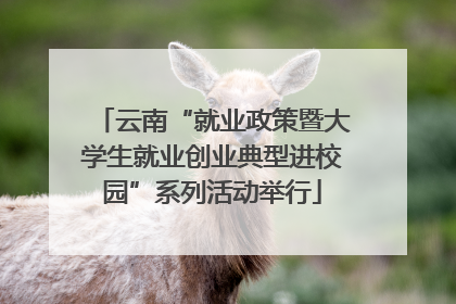 云南“就业政策暨大学生就业创业典型进校园”系列活动举行
