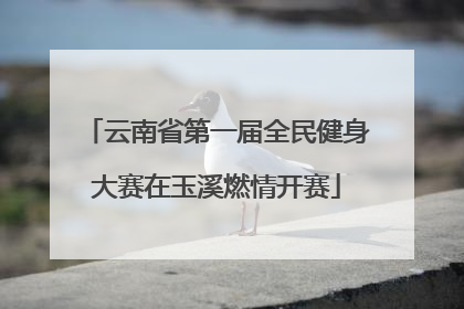 云南省第一届全民健身大赛在玉溪燃情开赛