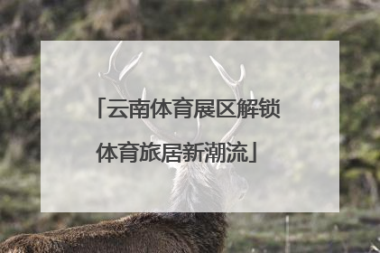 云南体育展区解锁体育旅居新潮流