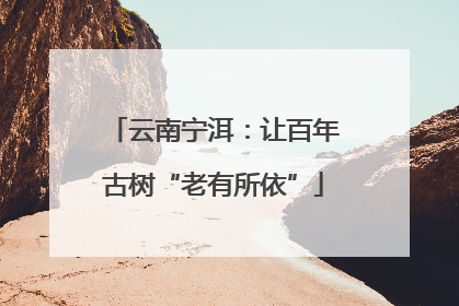 云南宁洱：让百年古树“老有所依”