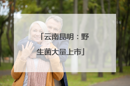 云南昆明：野生菌大量上市