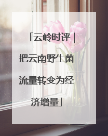 云岭时评｜把云南野生菌流量转变为经济增量