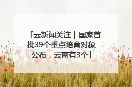 云新闻关注｜国家首批39个重点培育对象公布，云南有3个
