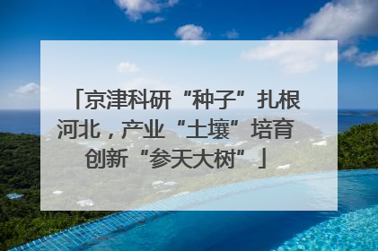 京津科研“种子”扎根河北，产业“土壤”培育创新“参天大树”