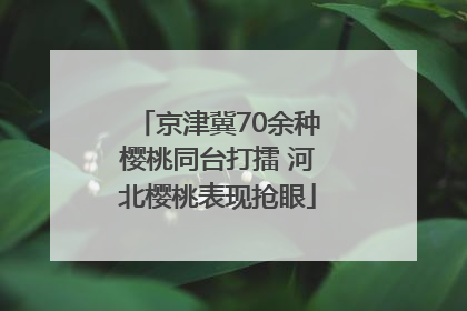 京津冀70余种樱桃同台打擂 河北樱桃表现抢眼