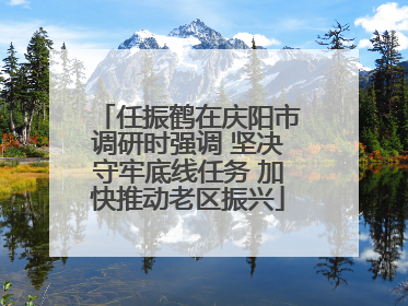任振鹤在庆阳市调研时强调 坚决守牢底线任务 加快推动老区振兴