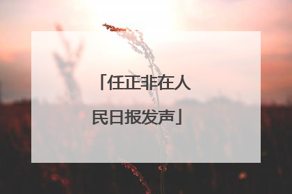 任正非在人民日报发声