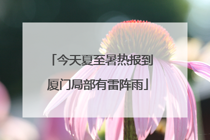 今天夏至暑热报到 厦门局部有雷阵雨