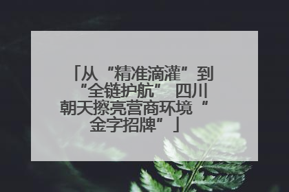 从“精准滴灌”到“全链护航” 四川朝天擦亮营商环境“金字招牌”