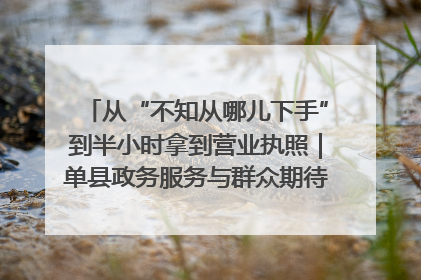 从“不知从哪儿下手”到半小时拿到营业执照｜单县政务服务与群众期待的“双向奔赴”