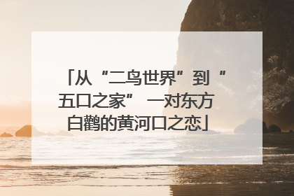 从“二鸟世界”到“五口之家” 一对东方白鹳的黄河口之恋